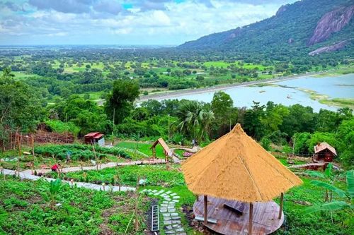 Buộc tháo dỡ quán cà phê xây trái phép trên đất rừng phòng hộ ở An Giang