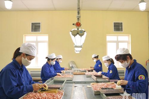 Nhà máy Z121 (Tổng cục Công nghiệp Quốc phòng): Đoàn kết, sáng tạo để phát triển