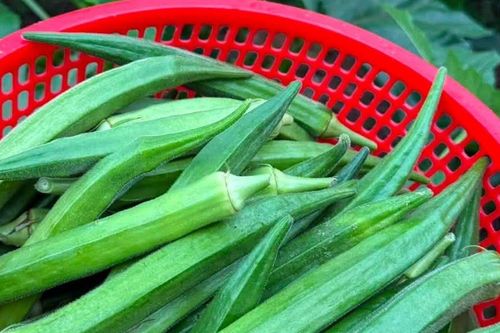 Loại quả rẻ bèo bán đầy chợ giúp kiểm soát đường huyết hiệu quả