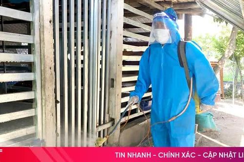 Phát hiện ổ dịch lở mồm long móng trên đàn bò ở phường Trần Phú