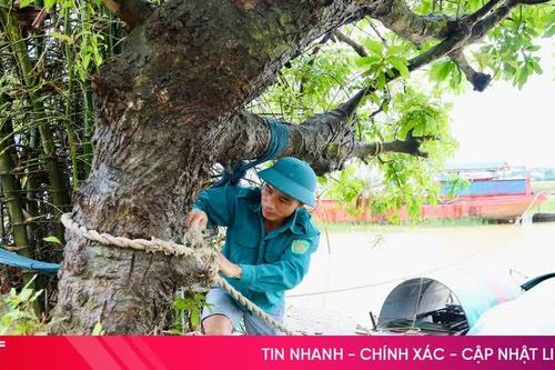 Từ chống lũ đến sống chung với lũ