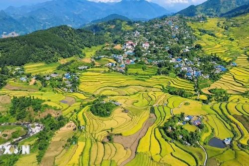 Ngày hội Mùa vàng Tả Lèng ở Lai Châu