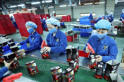 Việt Nam-Nga 2026: Cơ hội mới cho hợp tác kinh tế
