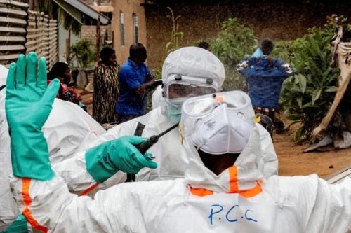 Ebola bùng phát tại Congo, gần 30% nhân viên y tế nhiễm bệnh bị tử vong