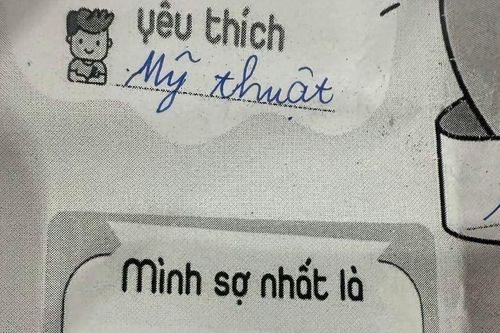 Học sinh điền 3 nỗi sợ, đáp án đầu tiên khiến cô giáo cũng phải 'đứng hình'