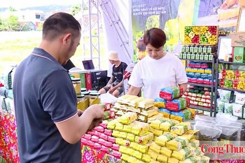 Sản xuất bền vững: Cơ hội cho doanh nghiệp tham gia thị trường