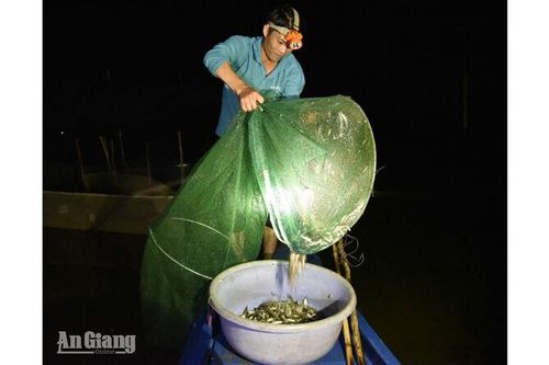 Nước về ngang ký ức