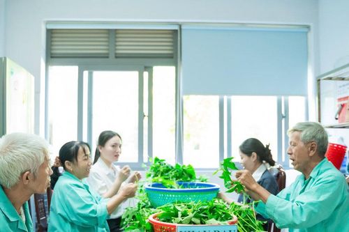 Đa dạng liệu pháp phục hồi