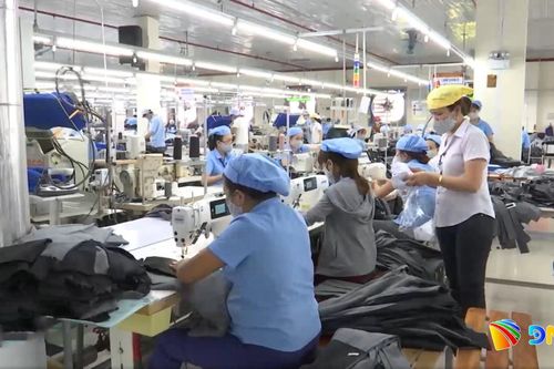 8 tháng, Đà Nẵng có gần 5.000 doanh nghiệp thành lập mới