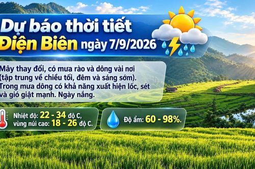 Bản tin Dự báo thời tiết ngày 7/9/2026