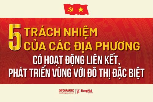 [Infographic] Luật Phát triển đô thị: Các địa phương có hoạt động liên kết, phát triển vùng với đô thị đặc biệt có trách nhiệm gì?