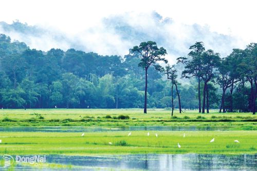 Ðánh thức tiềm năng du lịch Tà Lài