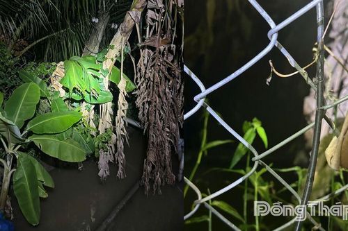 Khẩn trương làm rõ nguyên nhân 2 người tử vong nghi do điện giật