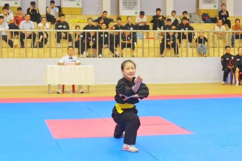 170 VĐV tranh tài tại Đại hội TDTT môn võ cổ truyền tỉnh Gia Lai 2026