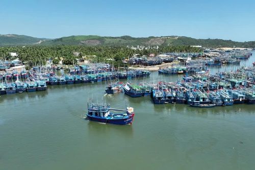 Đề nghị phối hợp xử lý thuyền trưởng tàu cá ở Hoài Nhơn Đông có dấu hiệu trì hoãn nộp phạt