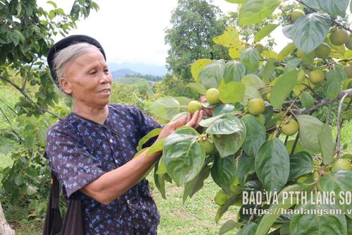 Vượt khó dựng cuộc sống mới