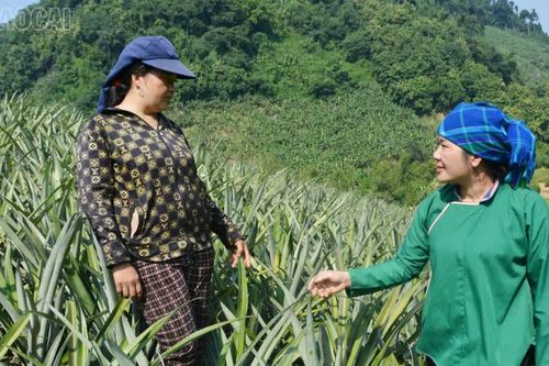 Phát huy vai trò “hạt nhân” của bí thư chi bộ