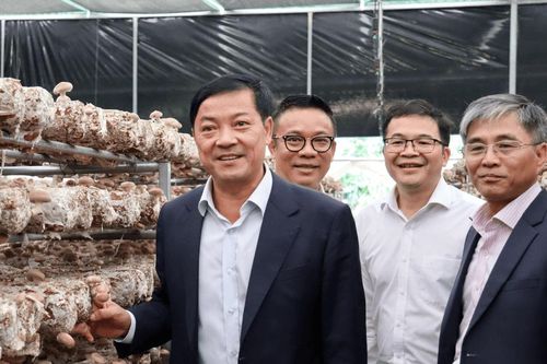 Cần nhân rộng những mô hình sản xuất hiệu quả ở Đam Rông 1