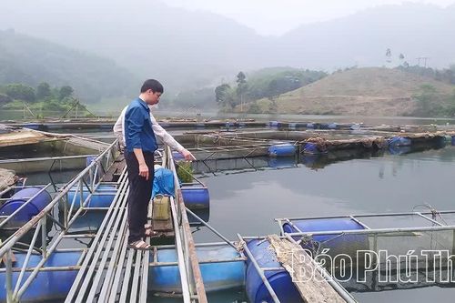 Nhân rộng mô hình nuôi trồng thuỷ sản có hiệu quả