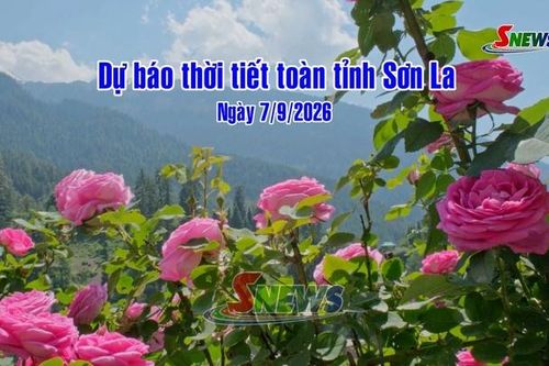 Dự báo thời tiết toàn tỉnh Sơn La ngày 7/9/2026