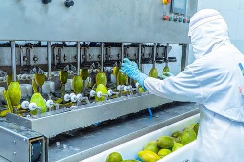 Nông sản Việt tìm cách tăng giá trị