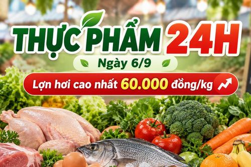 Thực phẩm 24h ngày 6/9: Giá lợn hơi đi ngang, cao nhất 60.000 đồng/kg