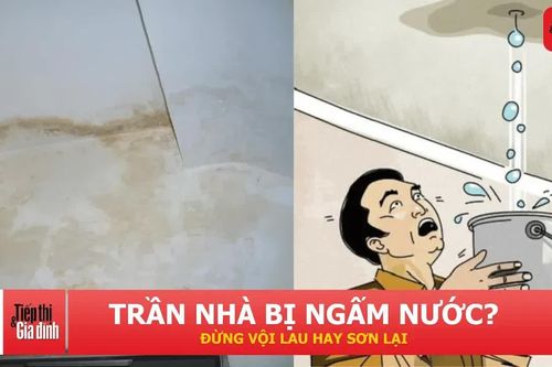 Trần nhà ngấm nước, đừng vội sơn lại: Việc đầu tiên cần làm để tránh nguy hiểm