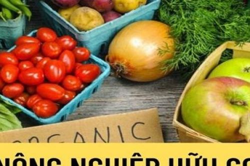 Những 'điểm nghẽn' cần tháo gỡ trong phát triển nông nghiệp hữu cơ hiện nay