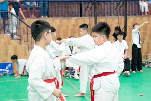 Sôi nổi kỳ thi chuyển cấp đai cho võ sinh Taekwondo Hà Đông và Chương Mỹ