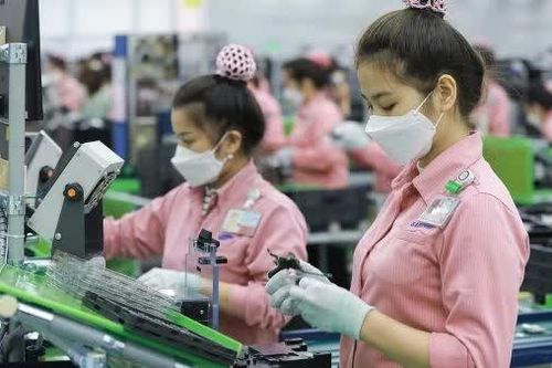 Xuất khẩu máy tính, sản phẩm điện tử và linh kiện dự báo có thể đạt 150 tỷ USD