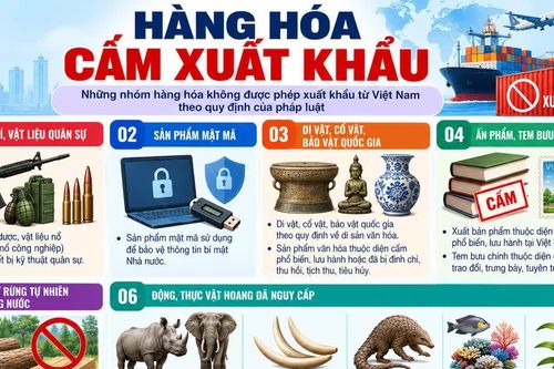 Không phải hàng hóa nào cũng được phép xuất khẩu