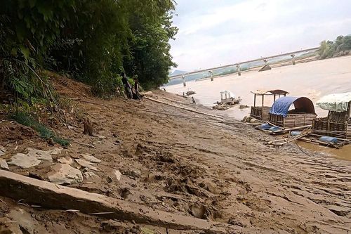 Hàng tấn cá chết sau khi mực nước sông Mã bất ngờ giảm sâu