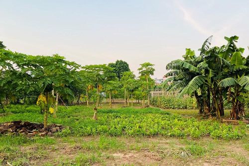 Đại lộ sông Hồng: Những ai phải di dời, được tái định cư ở đâu?