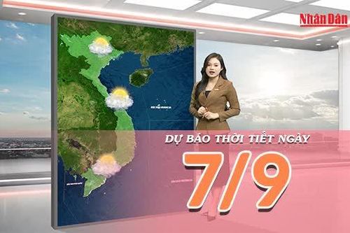 [Video] Dự báo thời tiết ngày 7/9/2026: Bắc Bộ chuyển nắng diện rộng, Trung Bộ có mưa về chiều tối