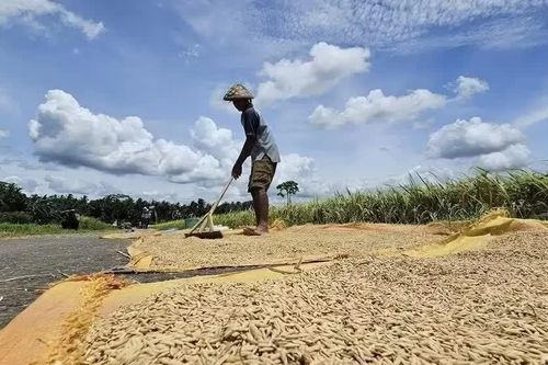 Áp lực về tài chính khí hậu
