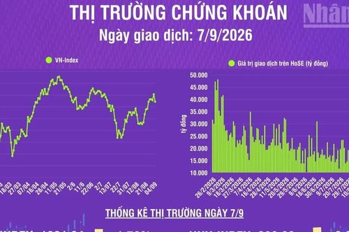 [Infographic] Chứng khoán ngày 7/9: VN-Index giảm mạnh 31,44 điểm, thanh khoản thị trường tăng
