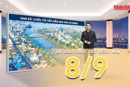 [Video] Dự báo thời tiết đêm nay và ngày mai 8/9/2026: Bắc Bộ còn mưa rải rác về đêm, Trung Bộ và Nam Bộ tăng mưa