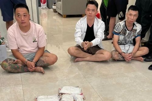 Phá đường dây mua bán, vận chuyển trái phép chất ma túy xuyên quốc gia, bắt 740 đối tượng