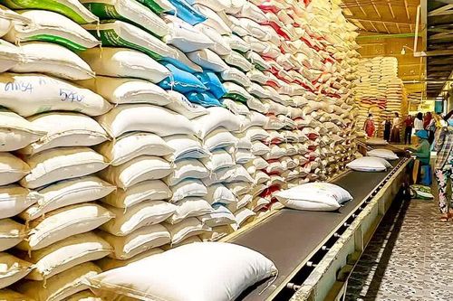 Tạo nền tảng lâu dài cho xuất khẩu gạo