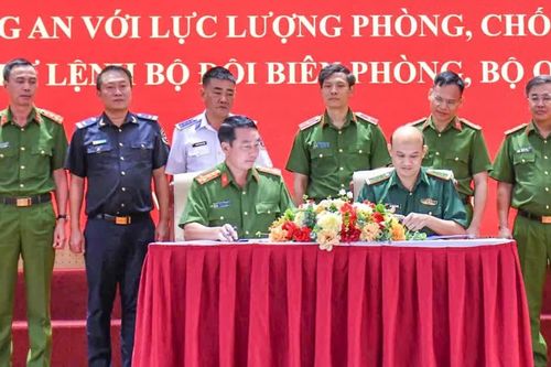 Bắt hơn 35.300 đối tượng trong các vụ án ma túy từ đầu năm đến nay