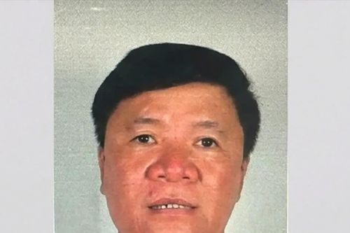 Đề nghị truy tố vắng mặt ông chủ cây xanh Công Minh