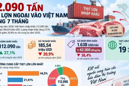 [INFOGRAPHIC] Thịt lợn ngoại vào Việt Nam tăng mạnh, giá nhập giảm sâu