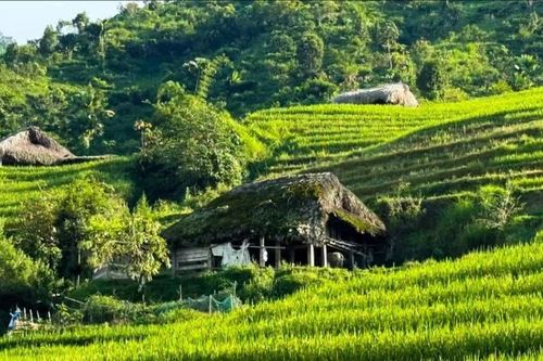 Điểm tựa để đồng bào vùng biên vươn lên thoát nghèo