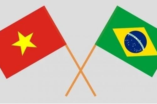 Điện mừng Quốc khánh Brazil