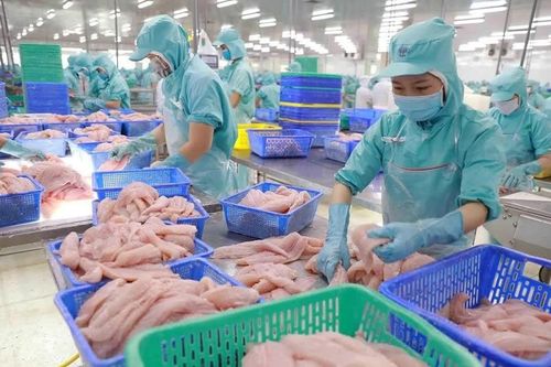 Nâng cao hiệu quả tiết kiệm năng lượng cho nhà máy thủy sản