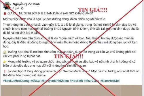 Công an Gia Lai bác tin nữ sinh cấp 2 bị đánh sau lễ khai giảng