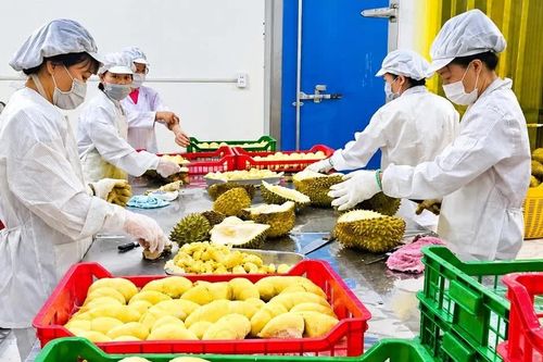Doanh nghiệp giải thể tại Đắk Lắk tăng tới 700%