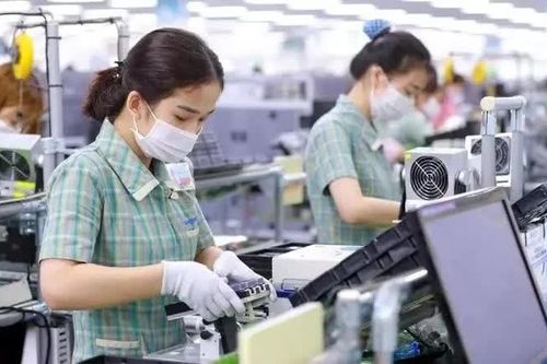 Thu ngân sách từ xuất nhập khẩu tăng hơn 52.000 tỷ đồng
