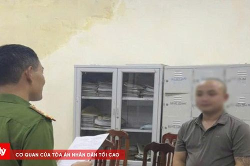 Bắt giữ đối tượng lừa đảo môi giới bán lợn