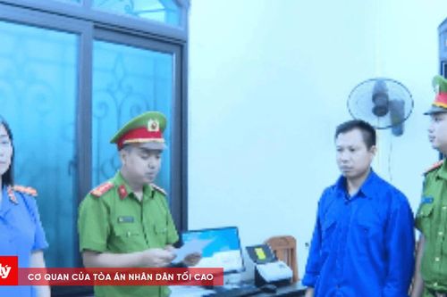Khởi tố 2 đối tượng vi phạm về khai thác bảo vệ rừng
